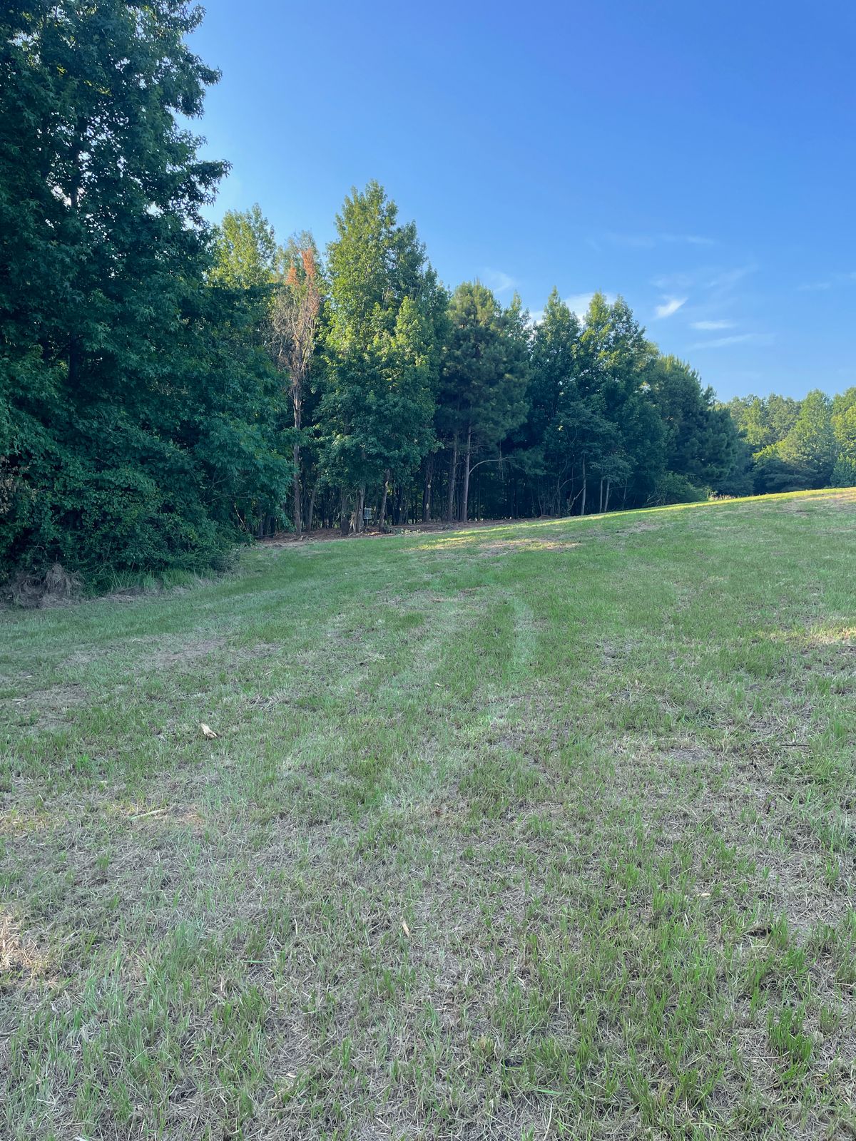 Hole 7