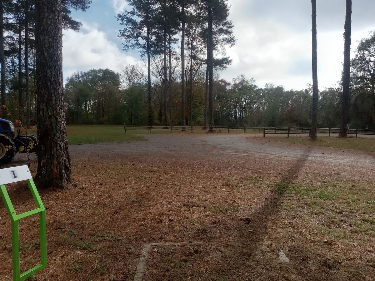 1st tee box looking at basket