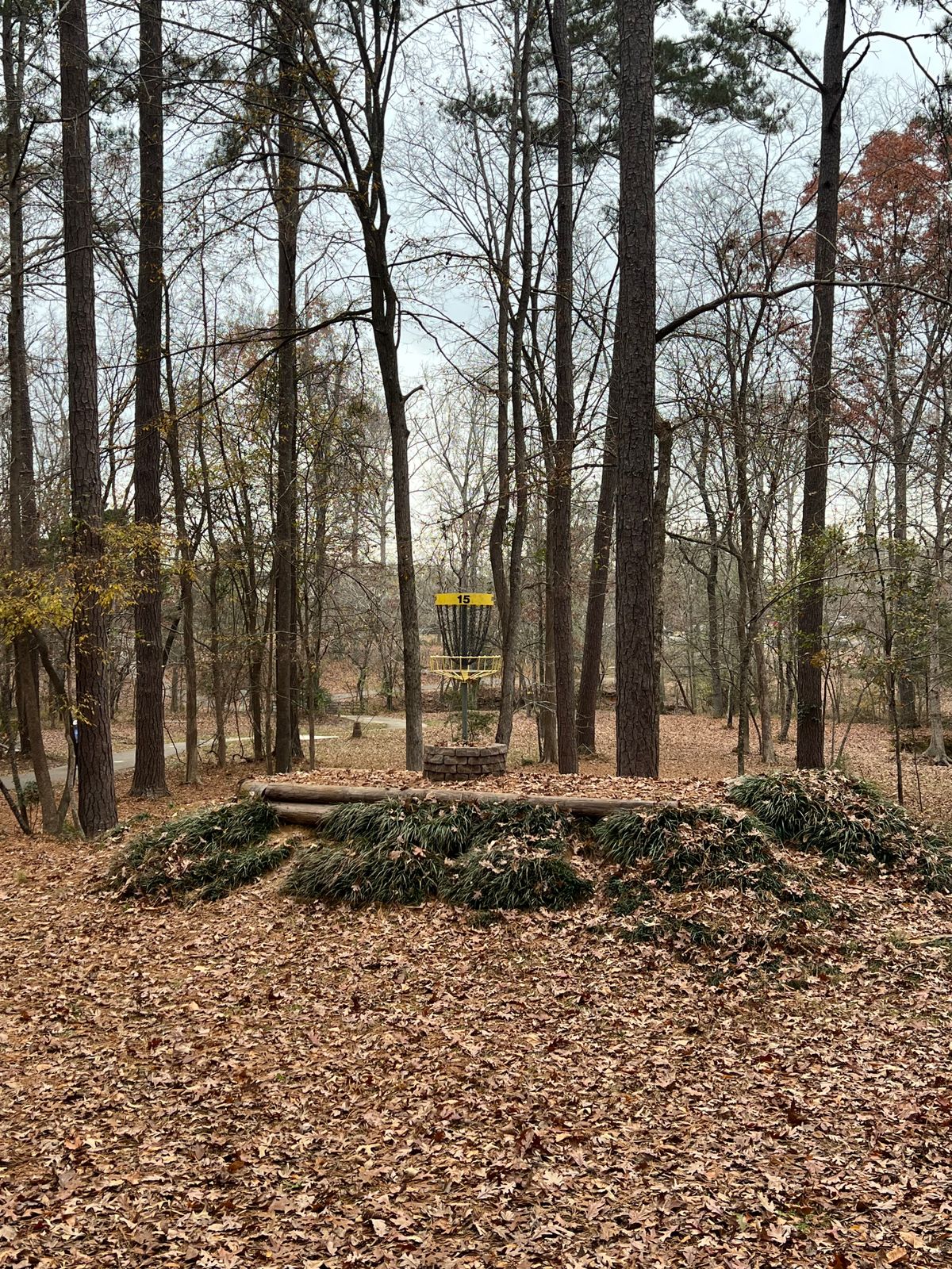 Hole 15 elevated green