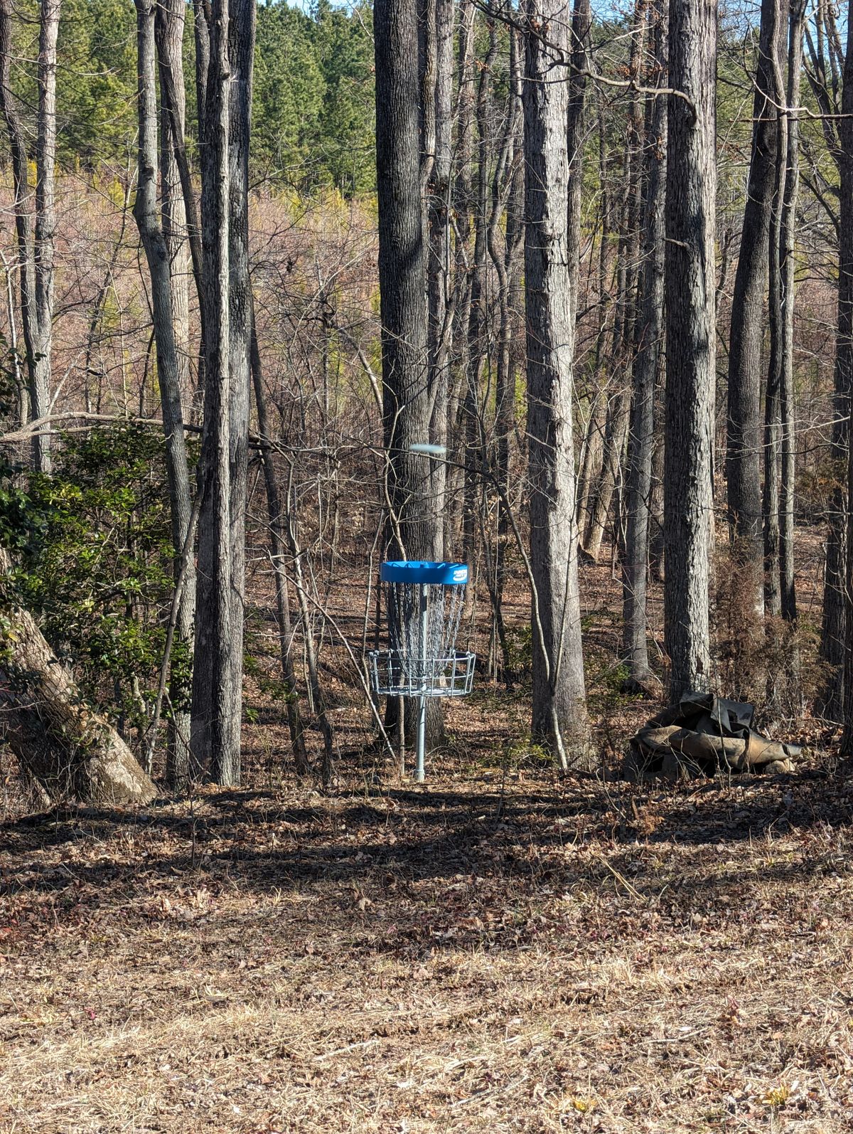 Hole 7