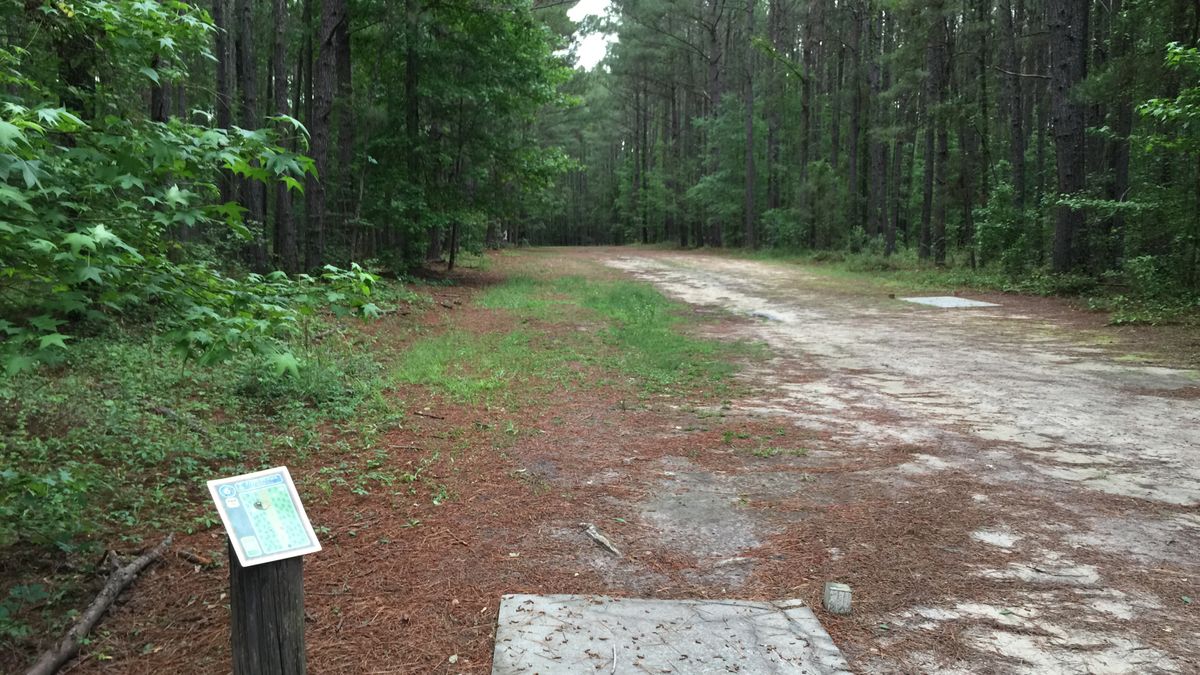 Hole 6