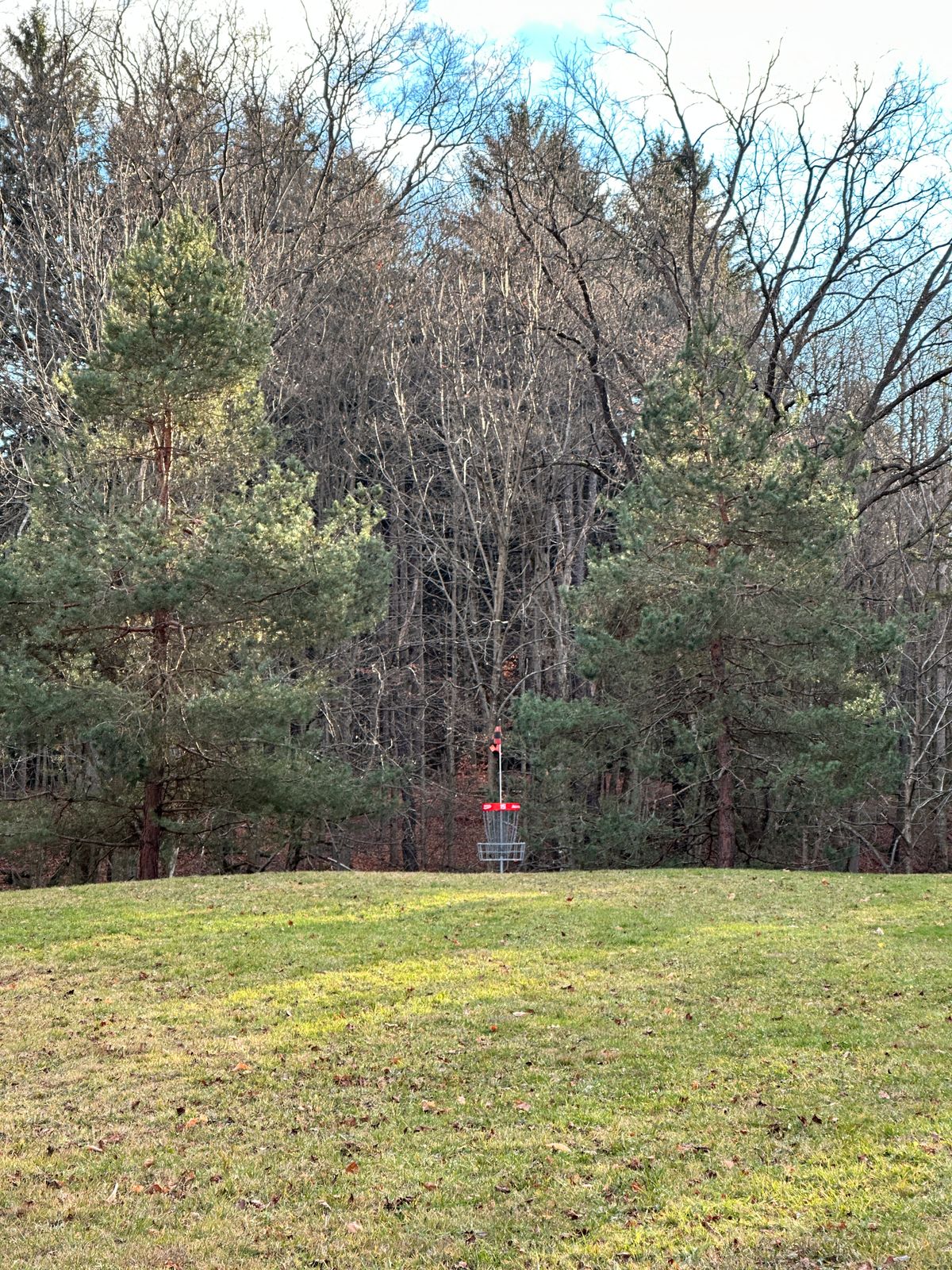 hole 15’s basket in the short position sitting just over the edge of a steep drop-off
