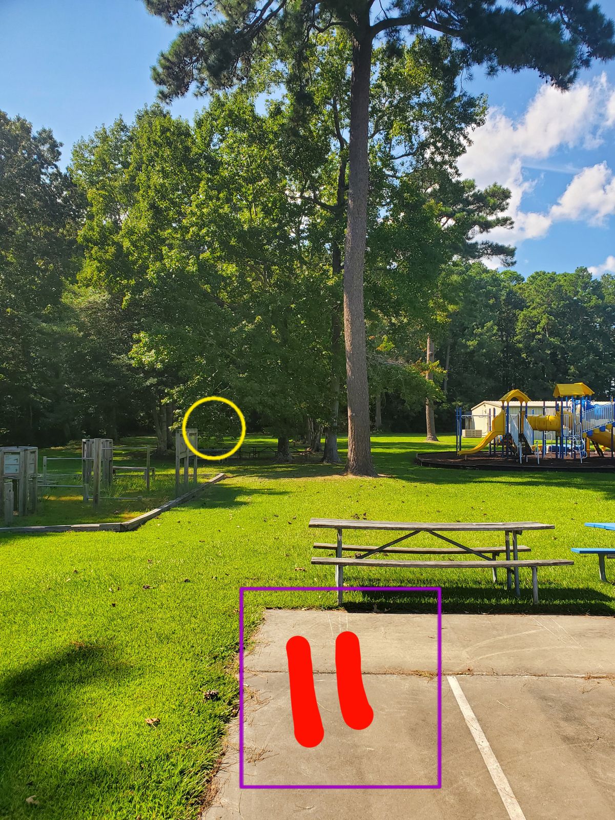 Hole 11
Shoot from corner of basketball court
Basket is underneath trees ahead.
