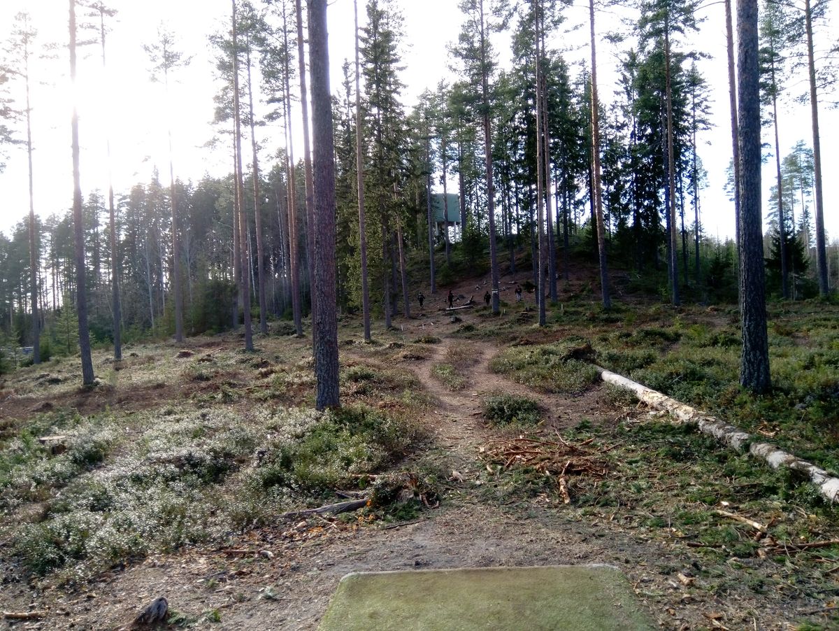 Väylä #7.
