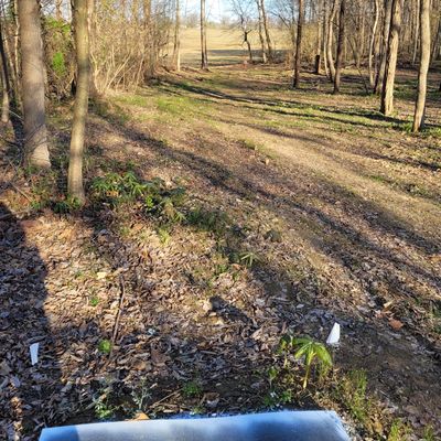 Hole 4