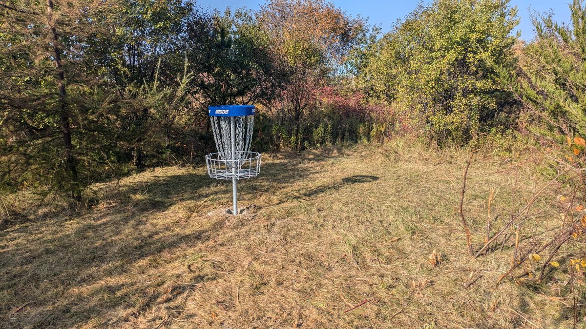 Hole 5 basket - Fall 2024