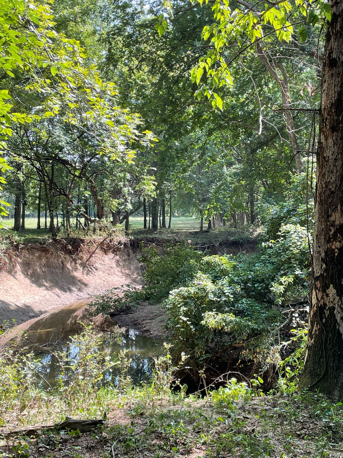 Hole 8 Tee Shot