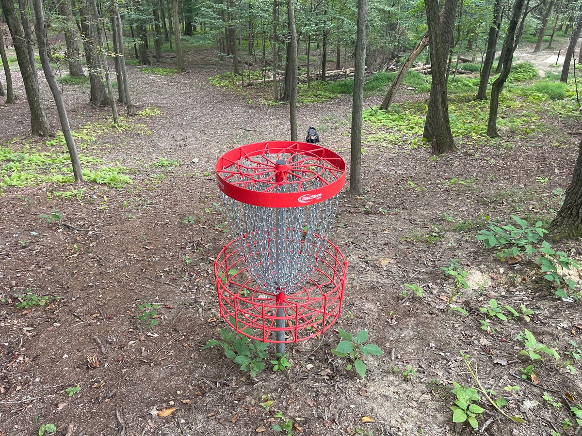 Hole 7 pin back towards fairway.