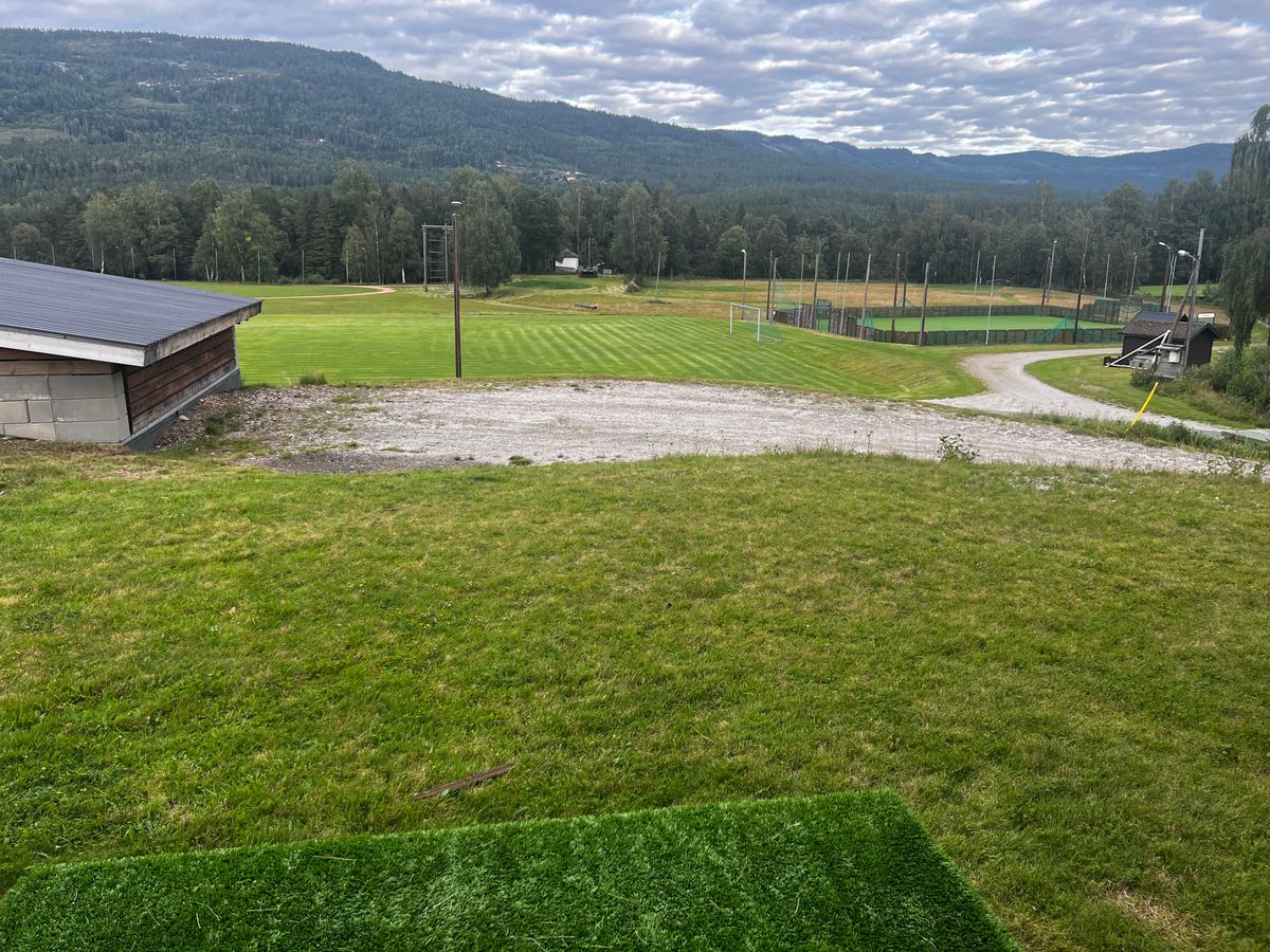 Tee 1
