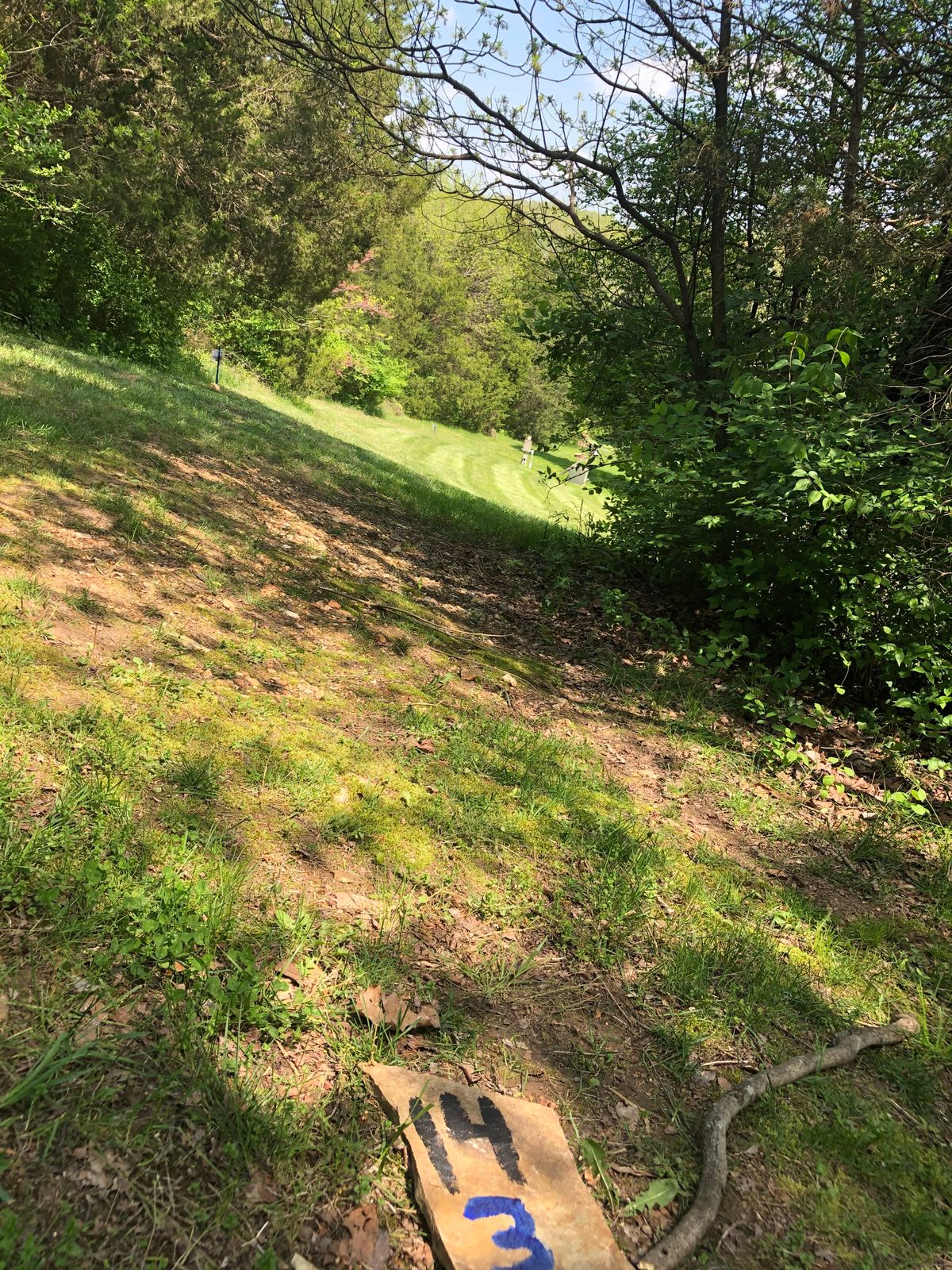 Right turning low ceiling downhill par 3.