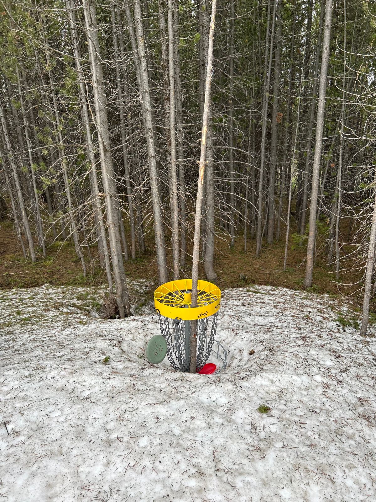 Hole 8 basket