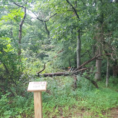 Hole 2
