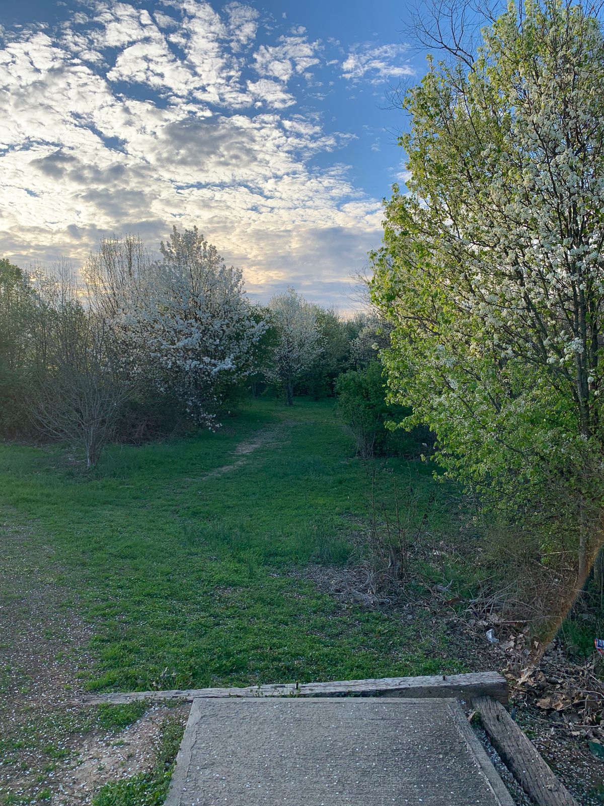 Tee Pad of Hole 14