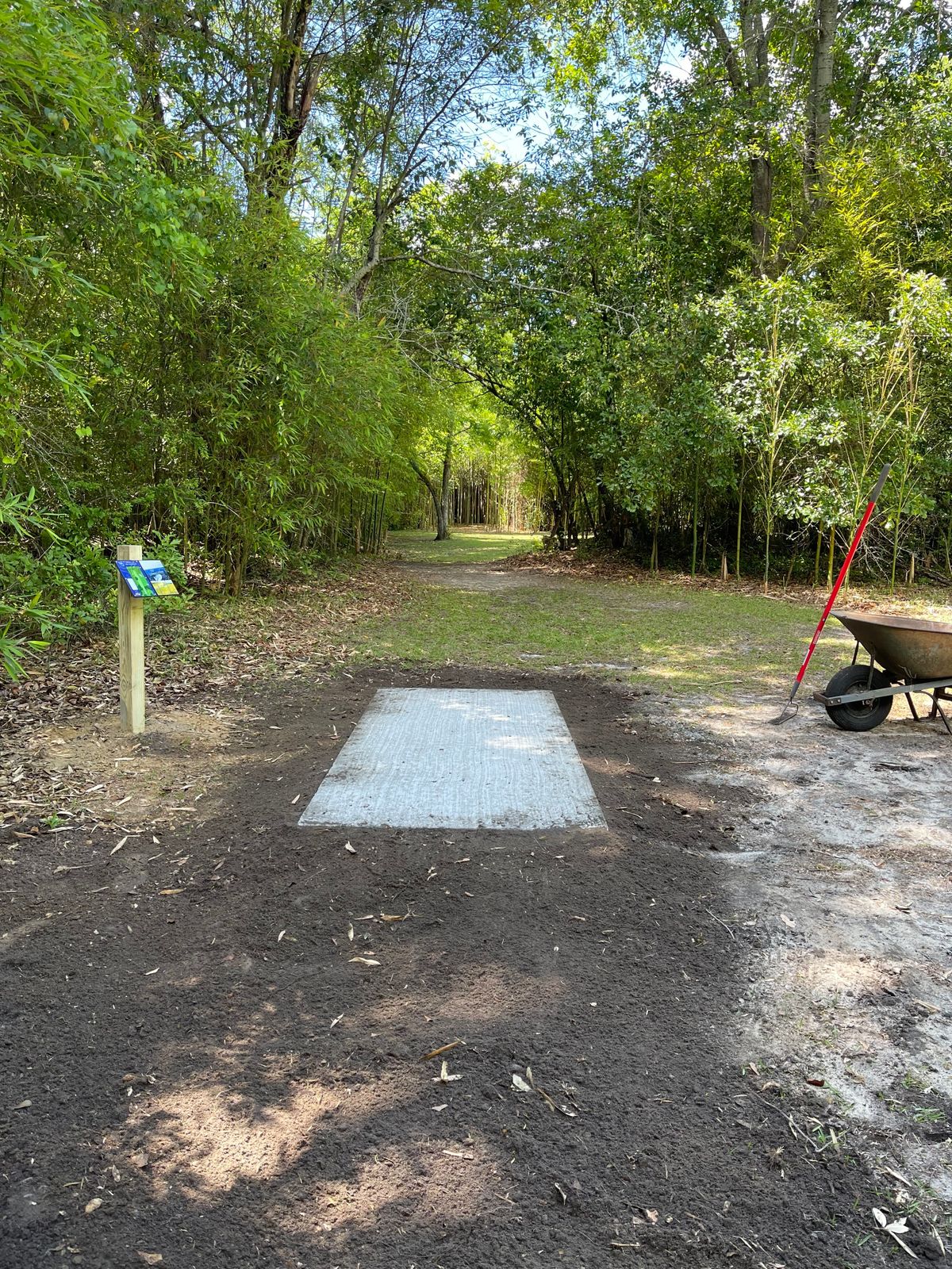 Hole 11