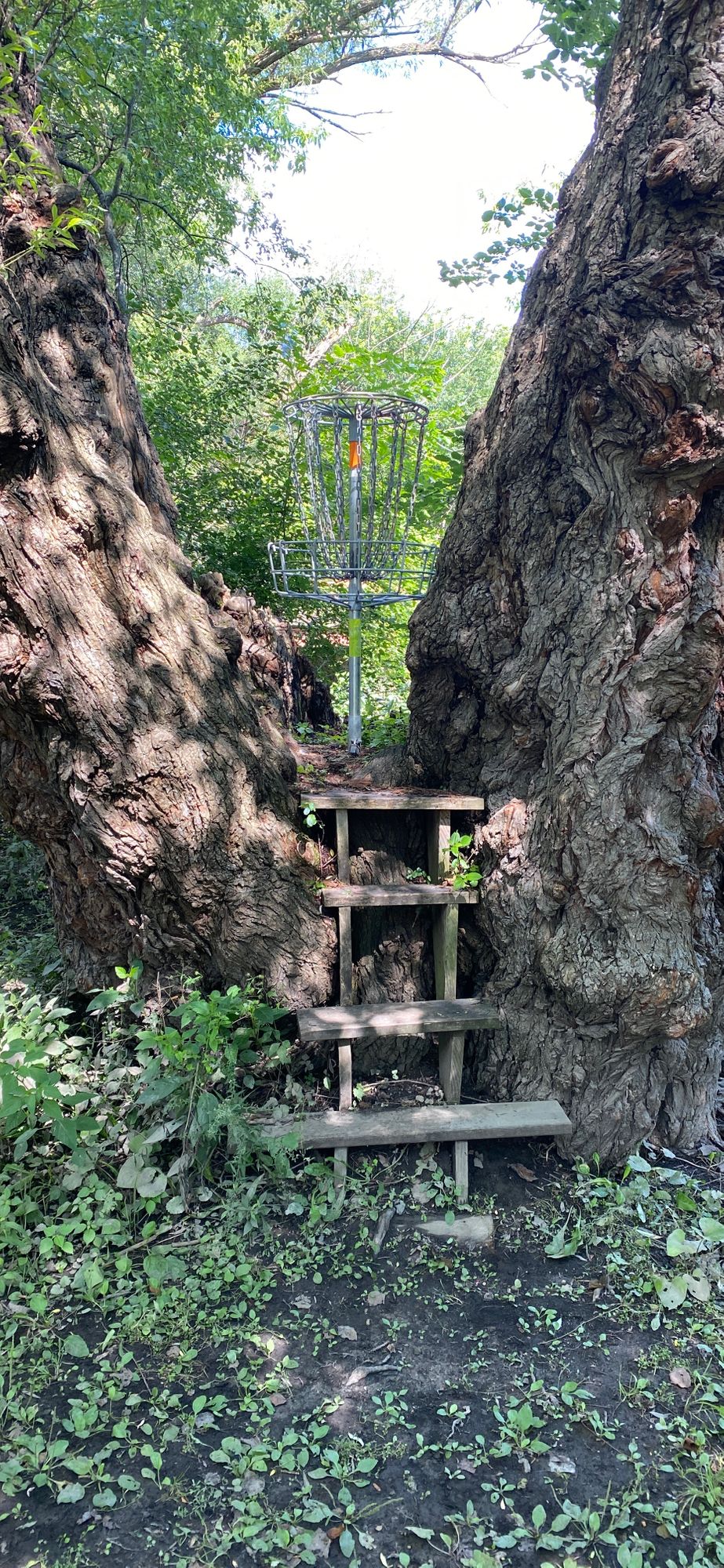 Tree basket