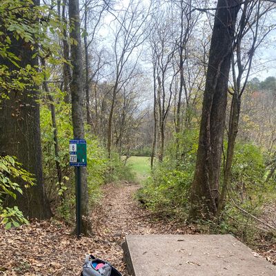 Hole 8