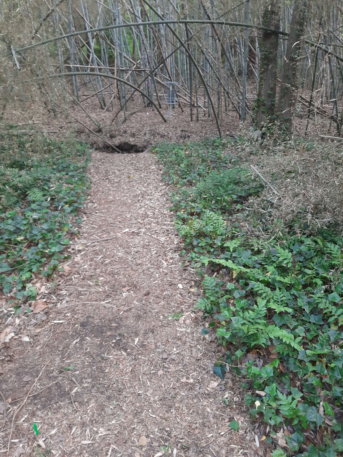 Hole 9 Red Tee