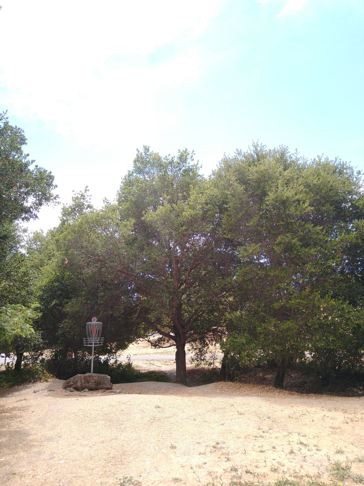 Hole 7