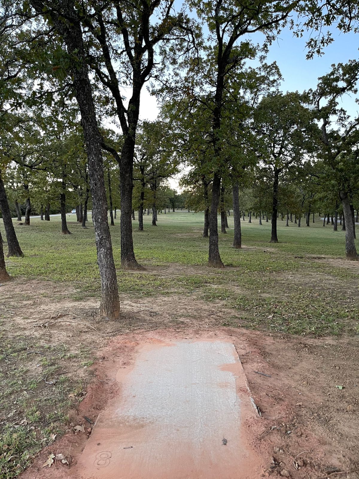 Hole 8: long tunnel shot: Par 4.