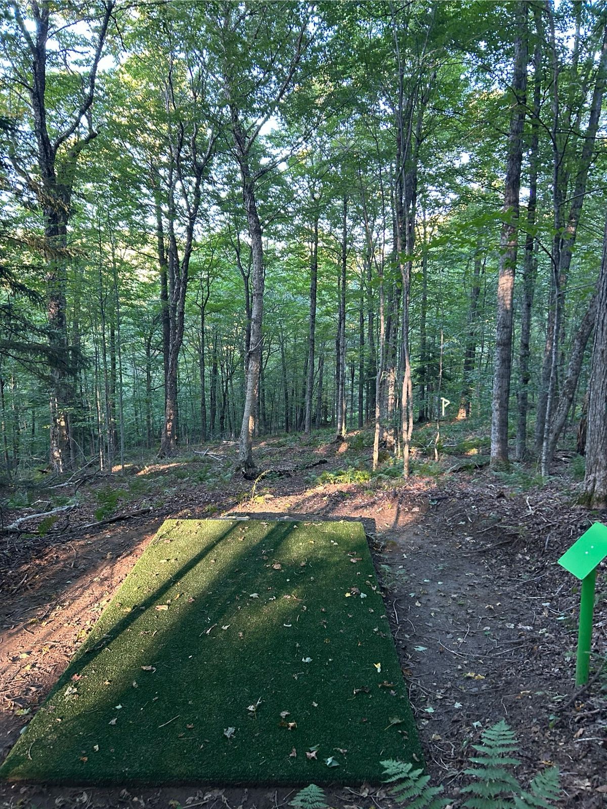 Hole 7 tee