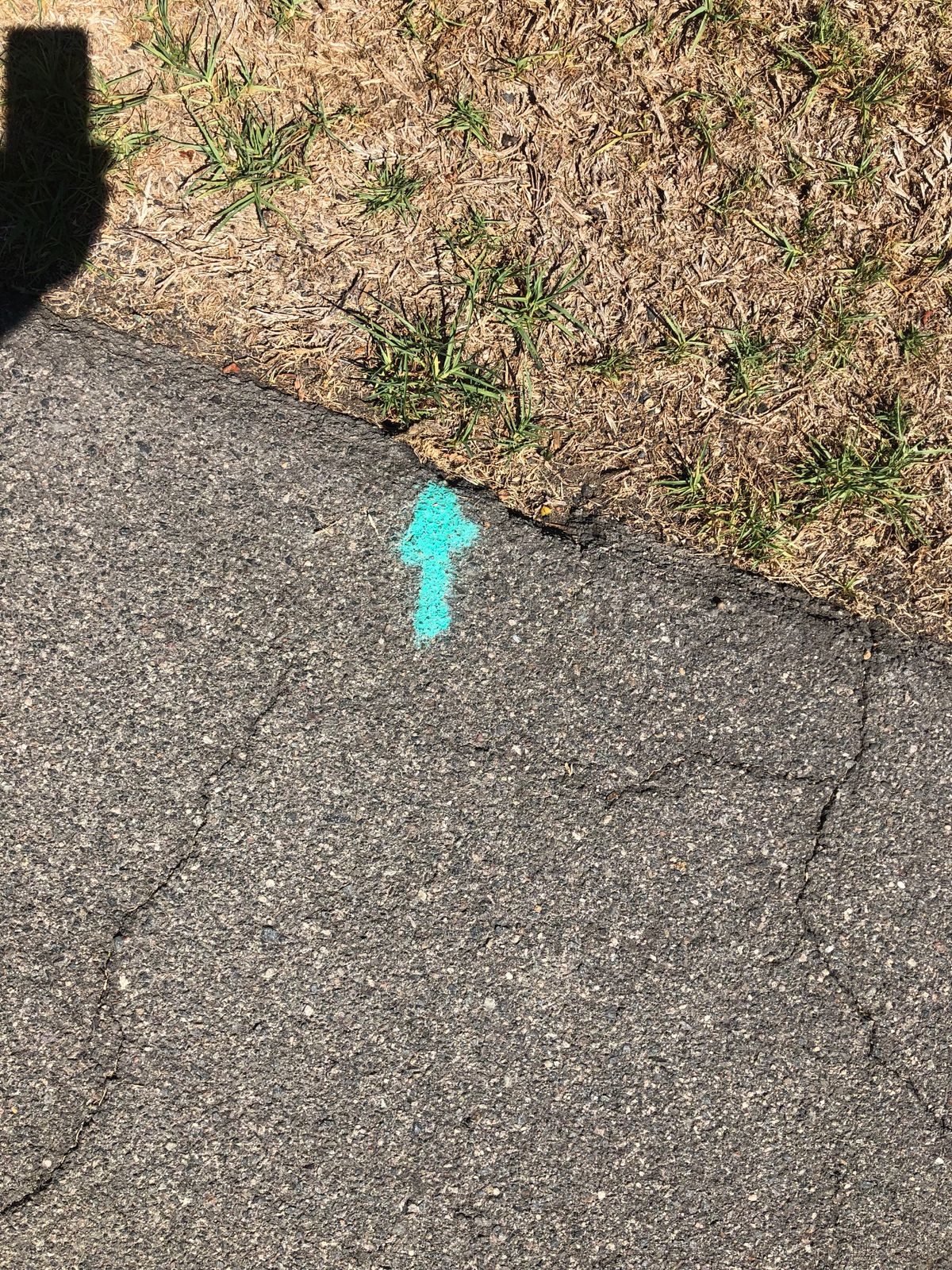 Green course tee 40.