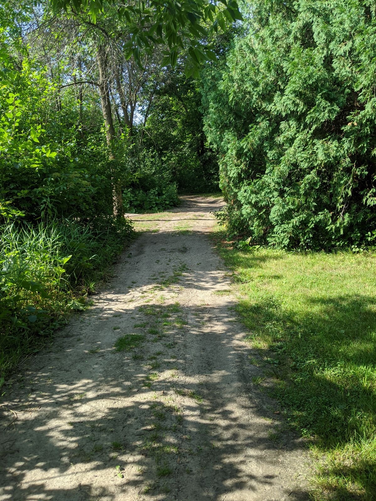 Walk up to 6