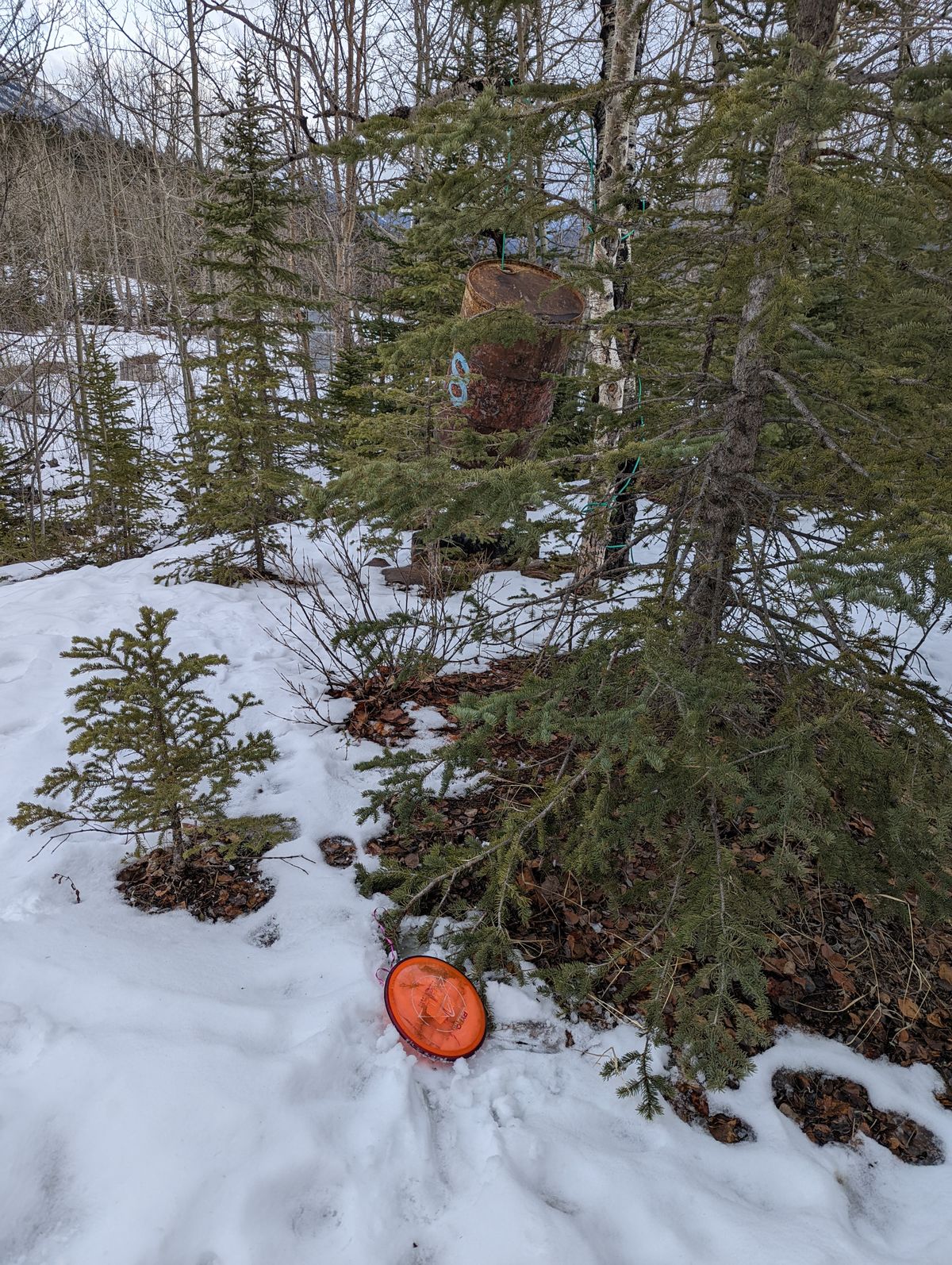 Hole 8 winterfun.