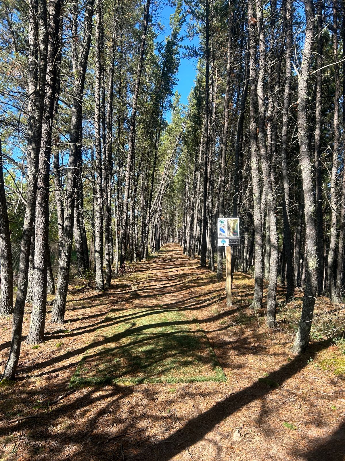 Hole 14