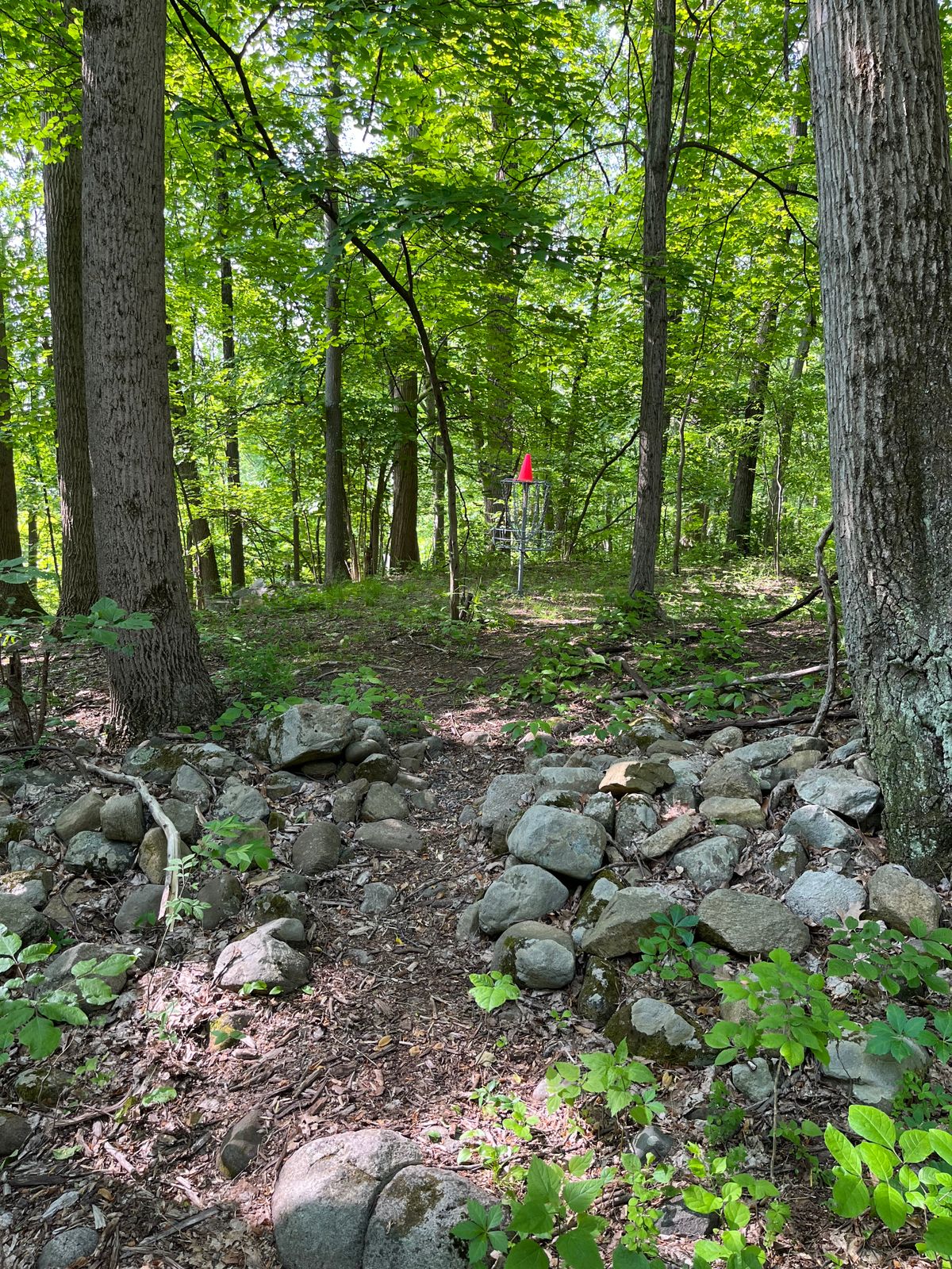 Basket left of main gap