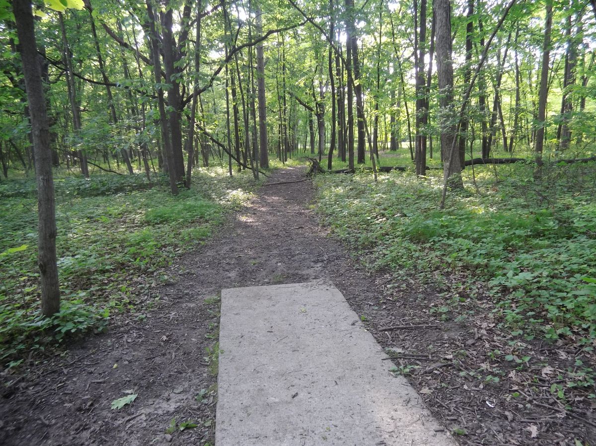Hole 14