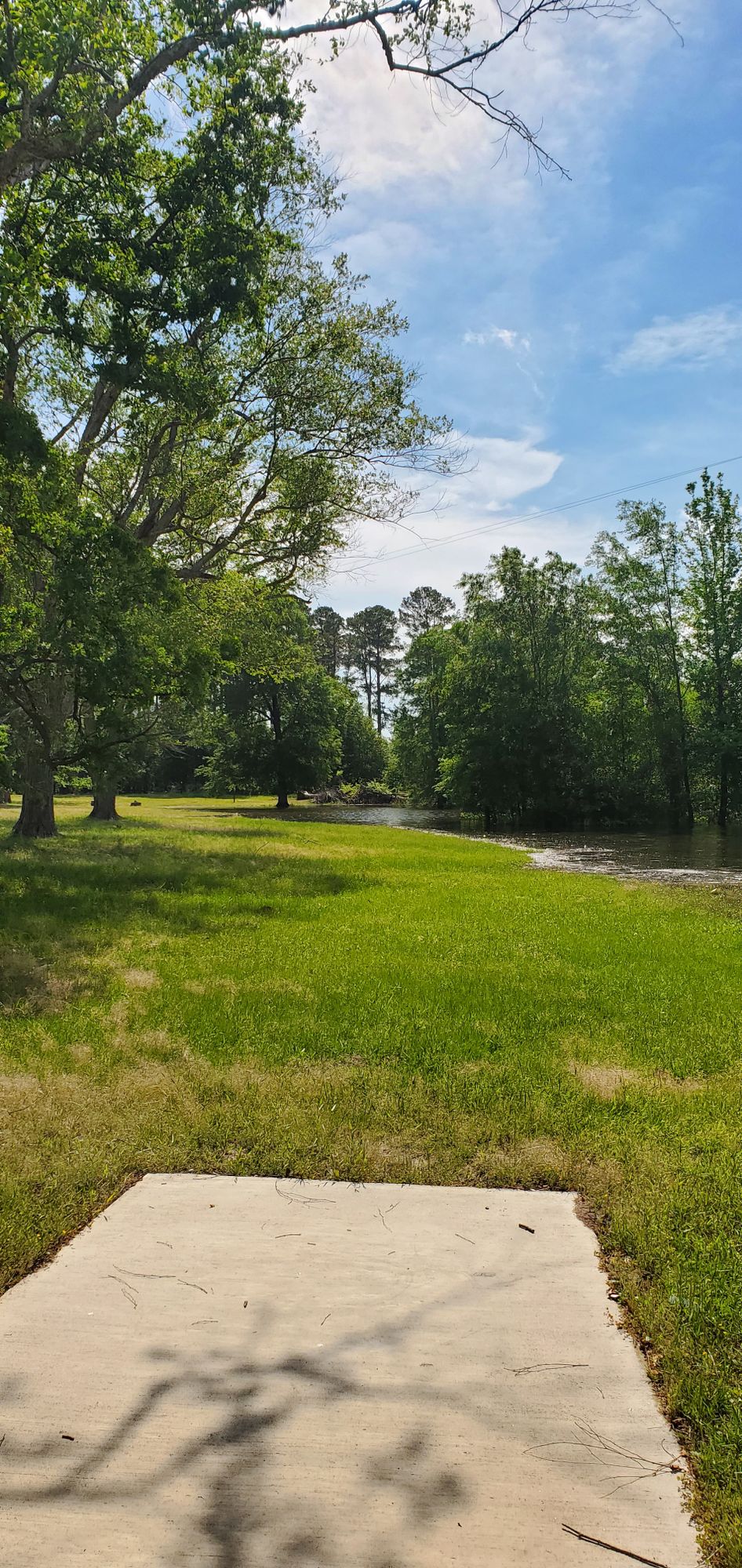 Water is up! Hole 12 now has lake in play.