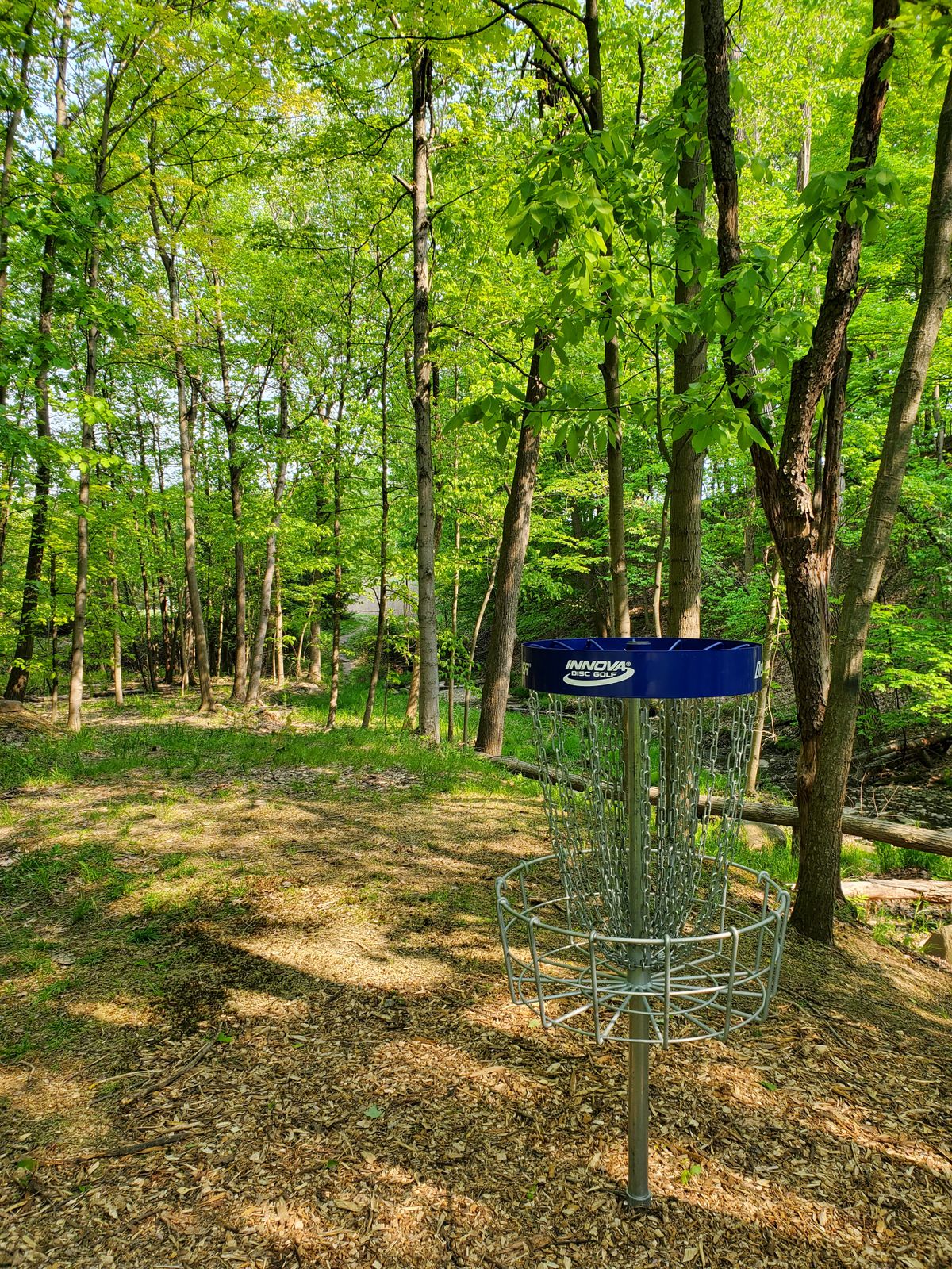Basket to tee.