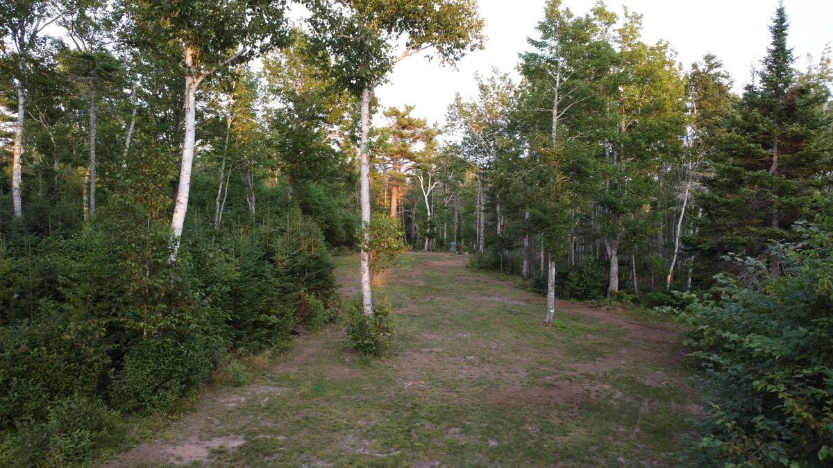 Fairway of hole 3.