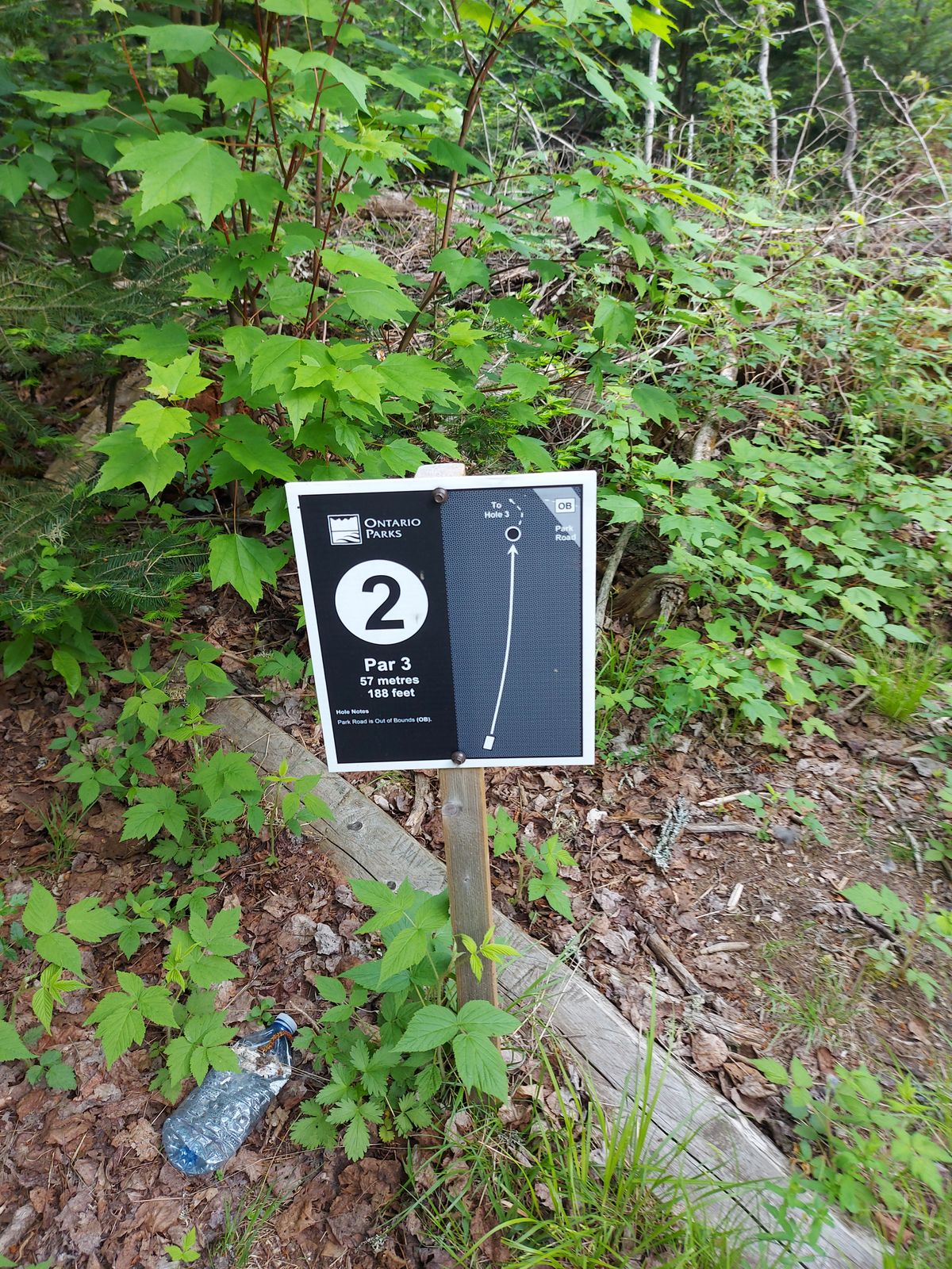 Hole sign 188ft 🍁🌲🍁🌲🍁🌲