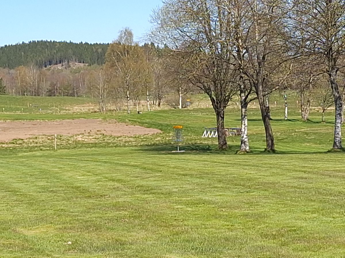 Nyklippt och fin.
