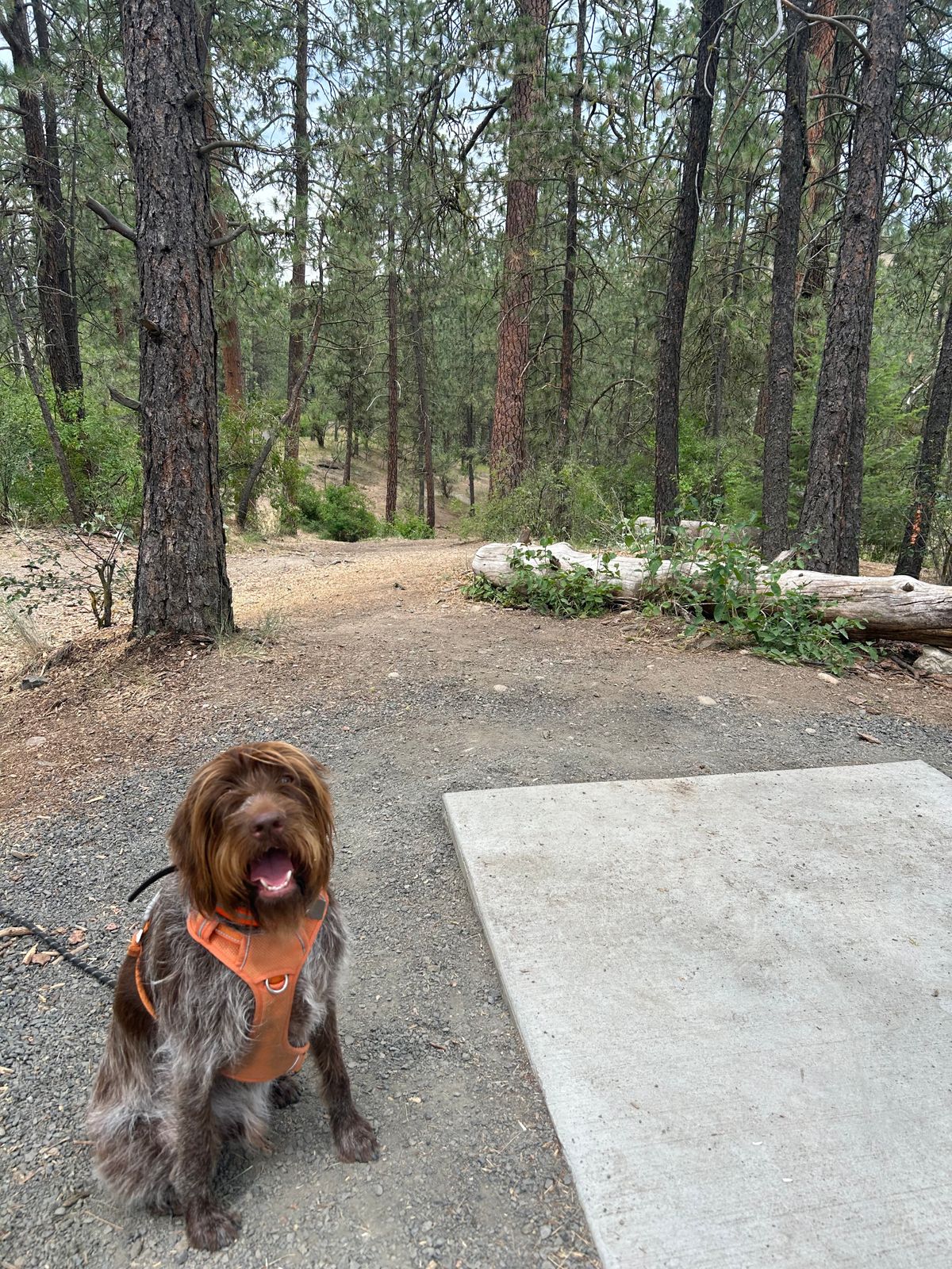Doug @ Hole 3