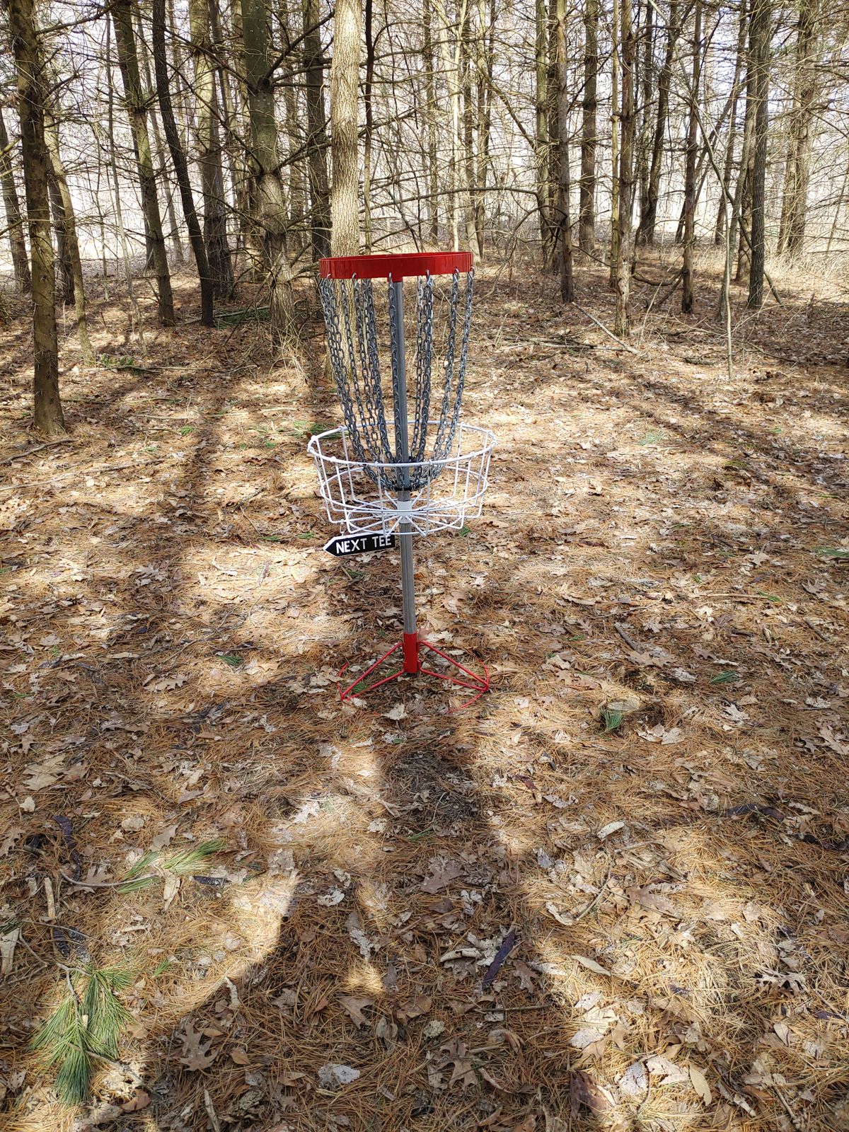 Hole 10 Basket