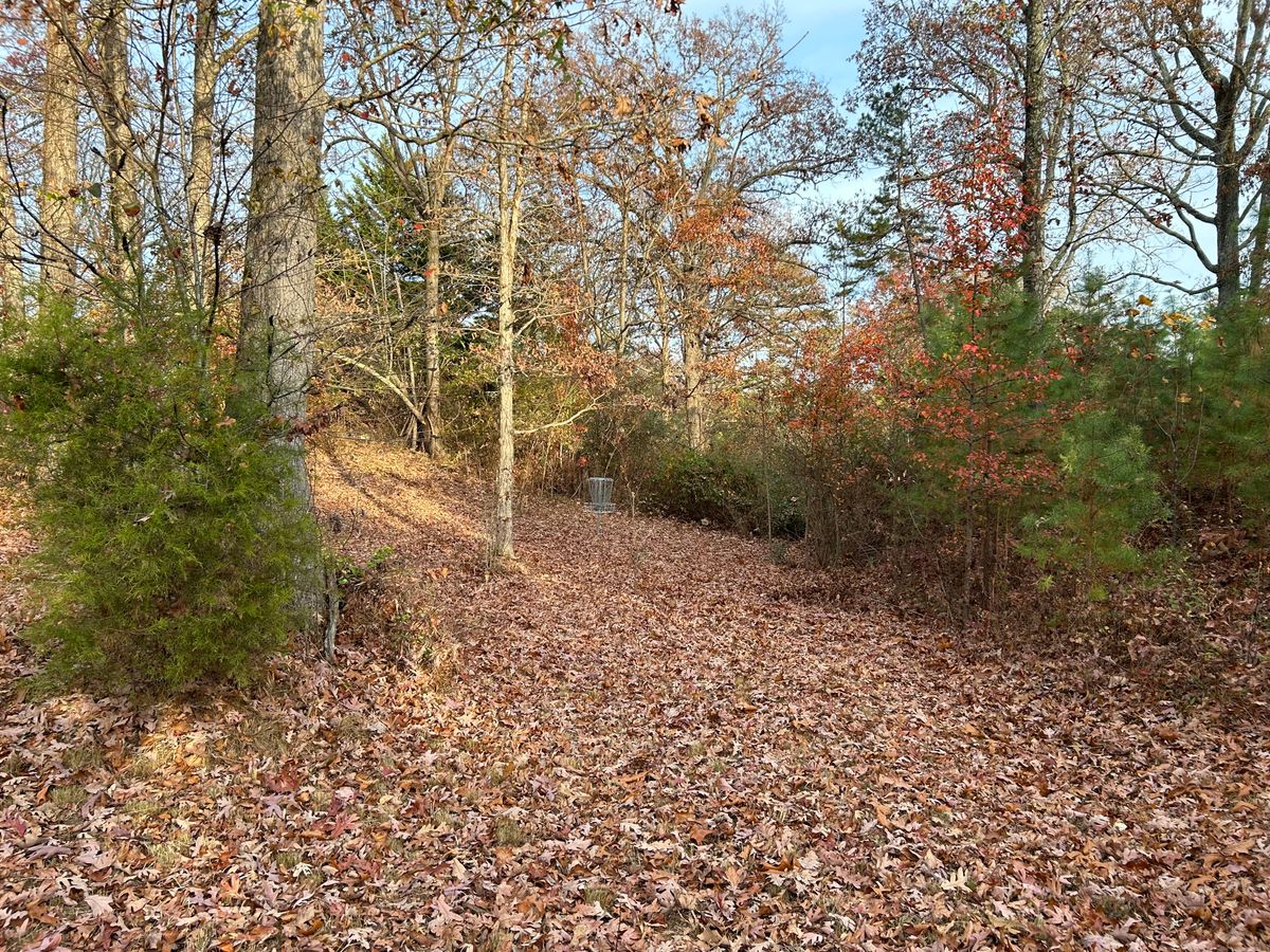 Hole 18 basket