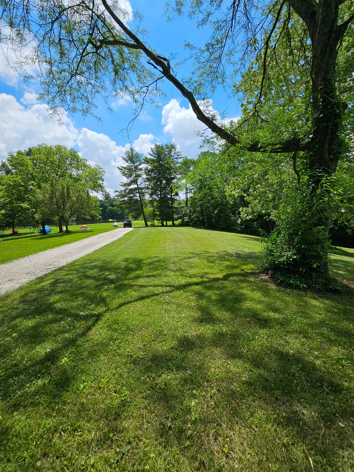 Hole 8