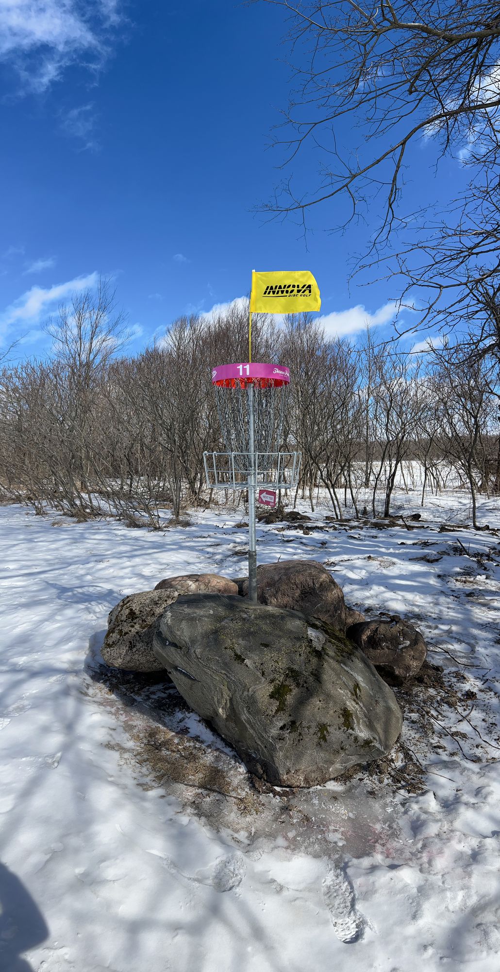 Upgrades this season include this elevated basket on hole 11, Throw Pink layout.