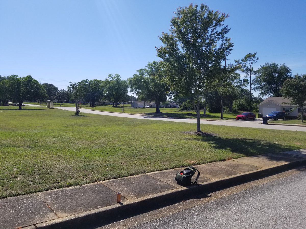 Hole 5 tee