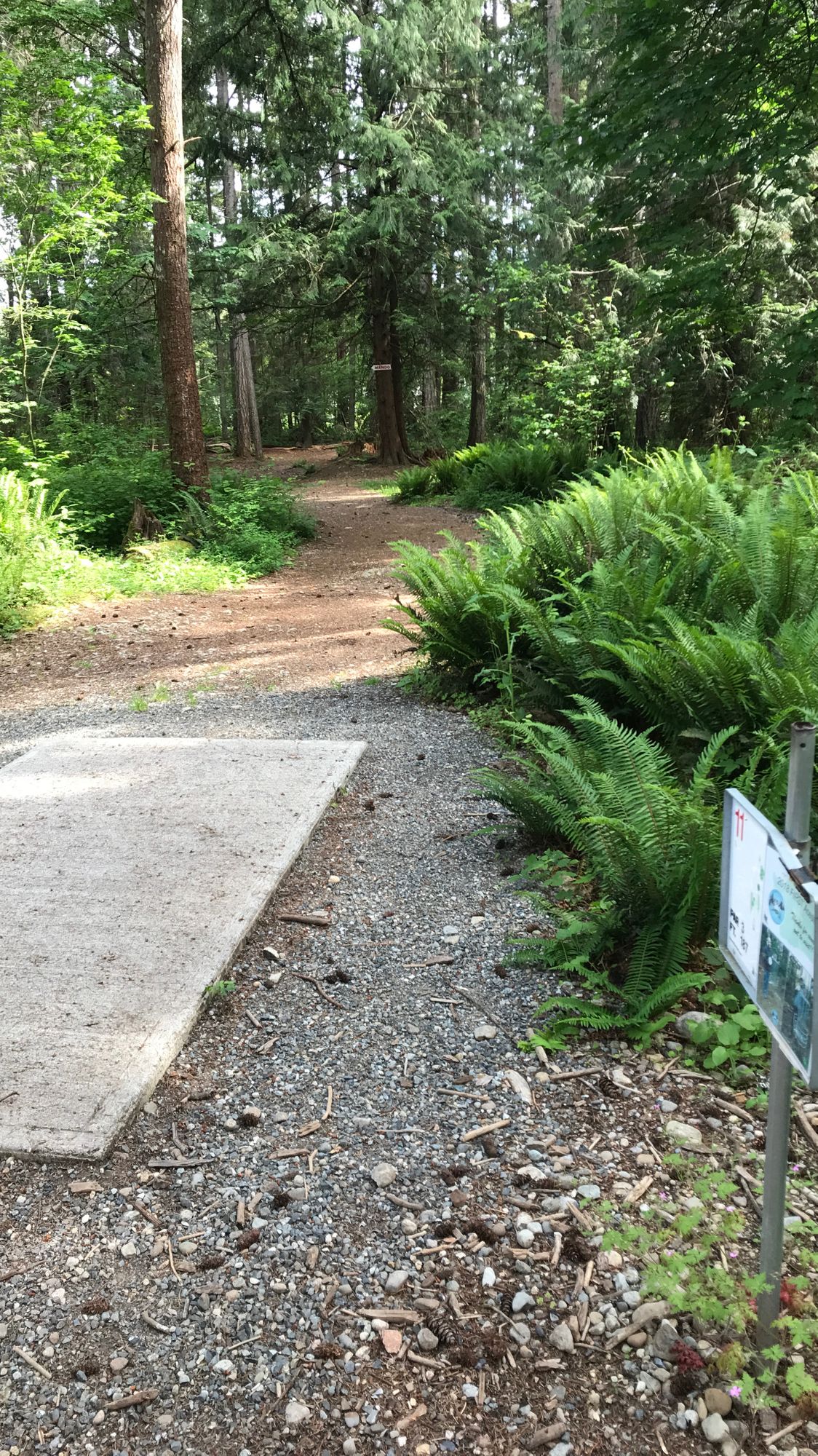 Hole 11
