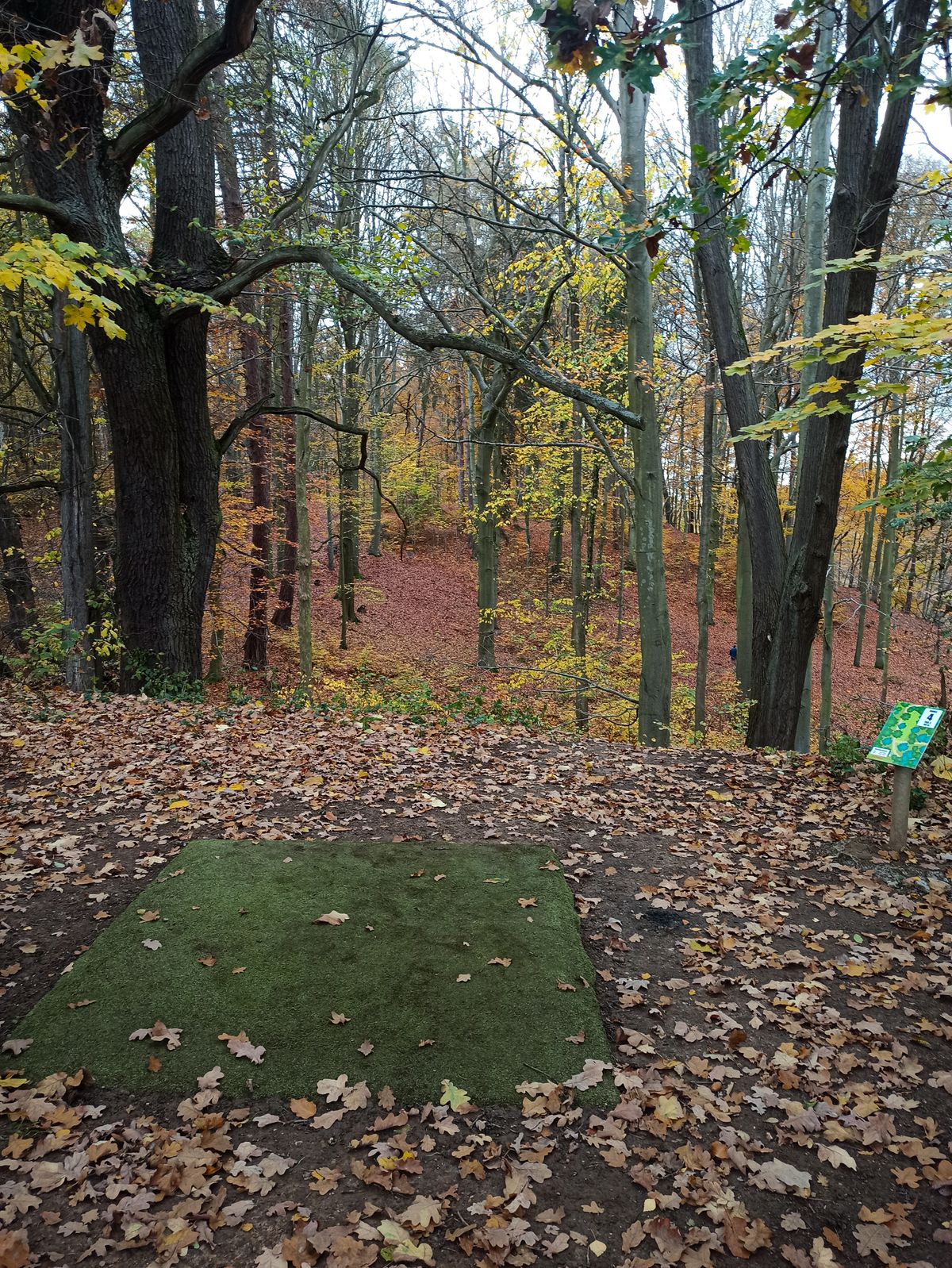 Ours beautiful hole 4