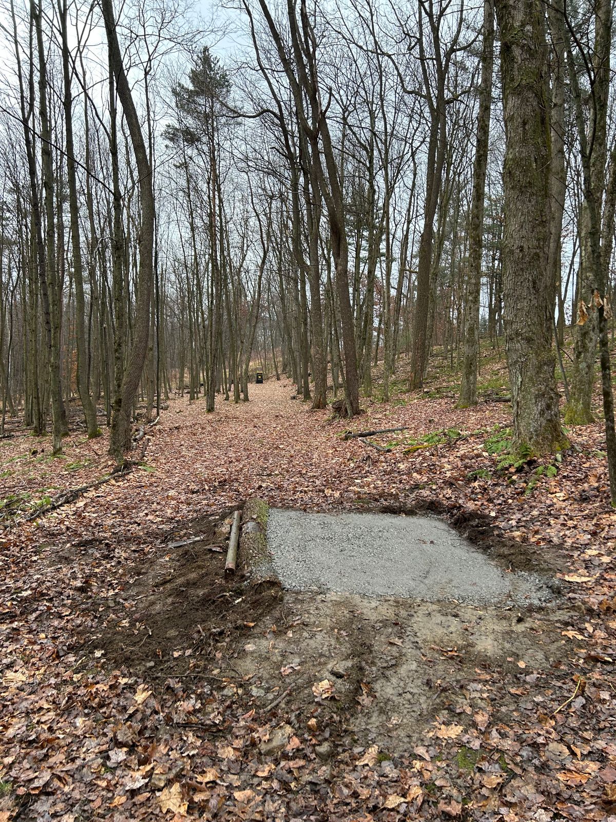 Hole 7 Red tee
