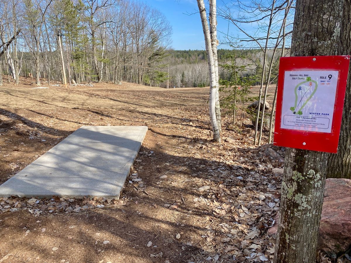Tee pad 9