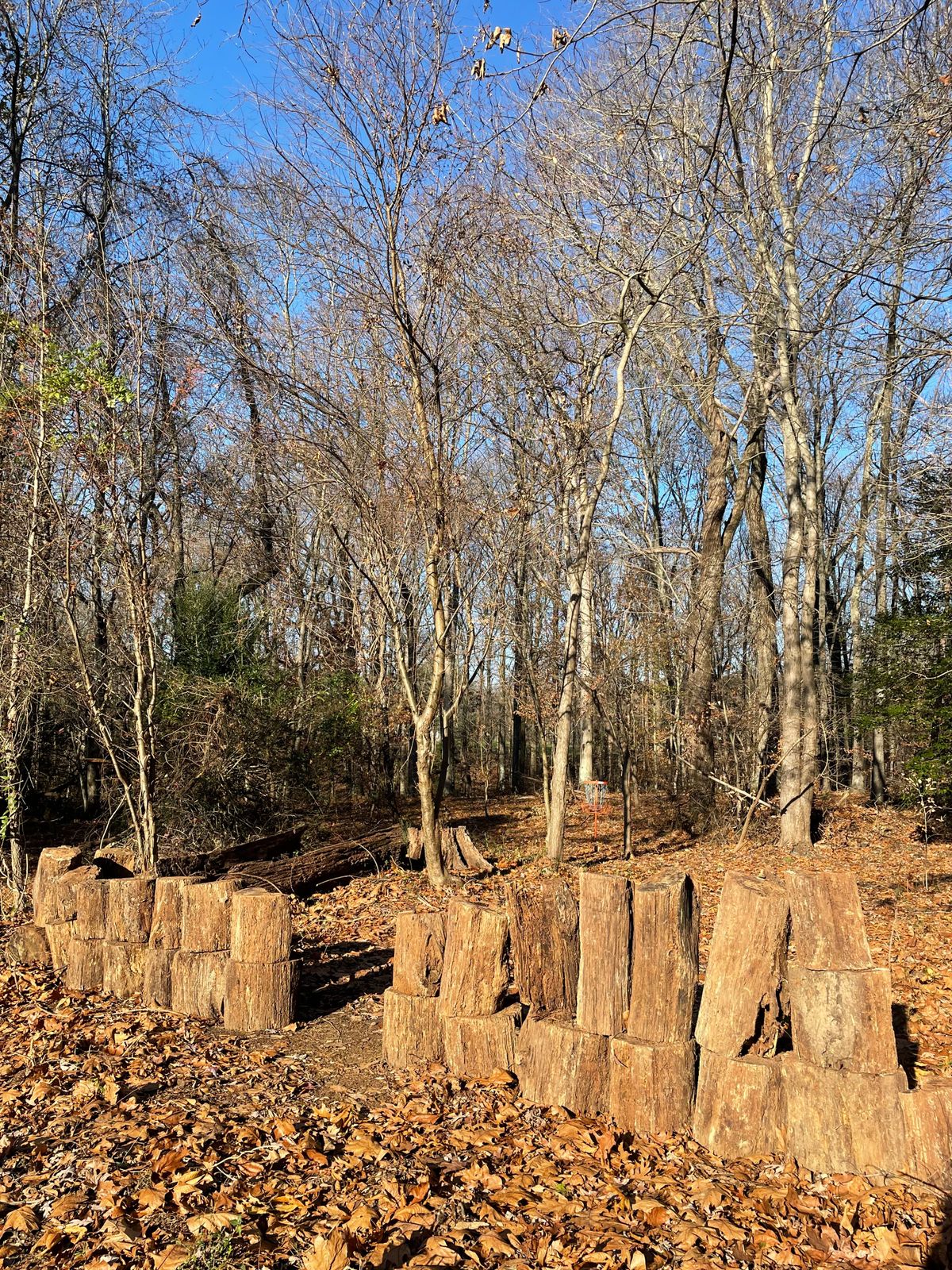 Hole 1 wall right outside ⭕️ 2