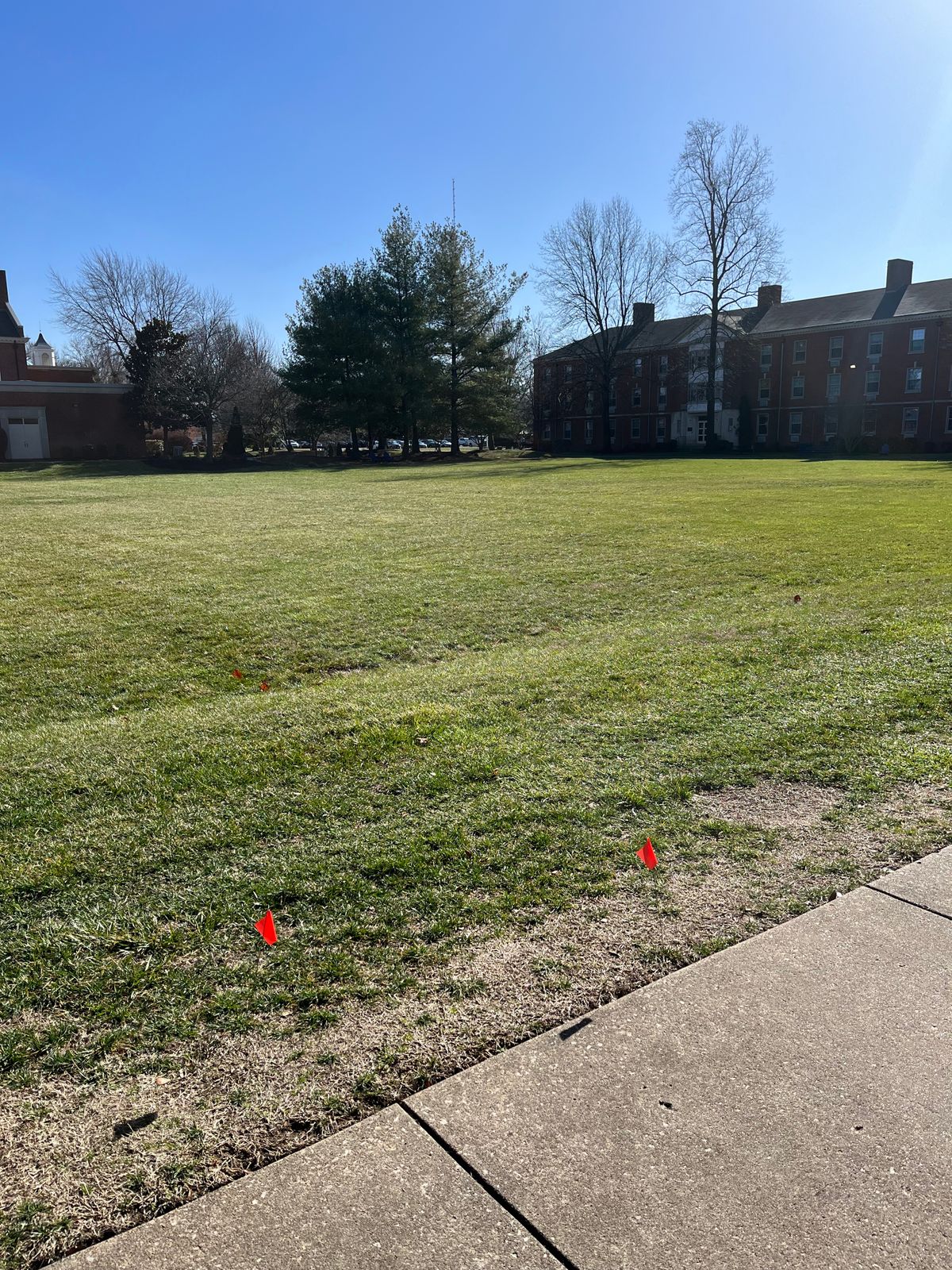 Hole 16 tee