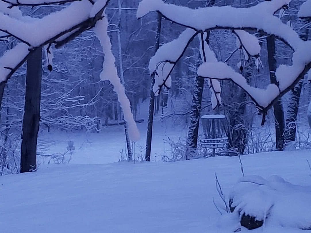 Winter Wonderland at the DRDGC