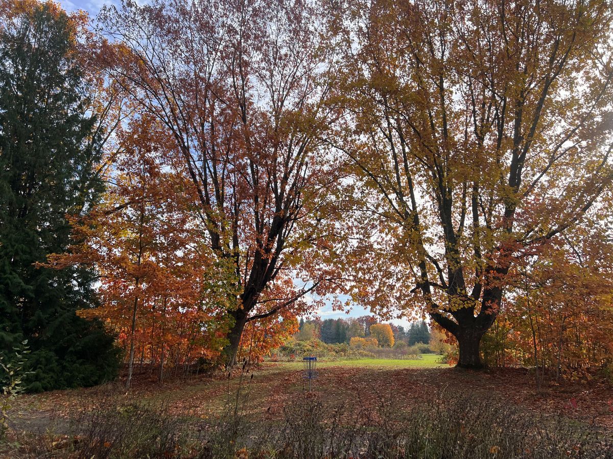 Looking back on hole 16’s basket on a November day