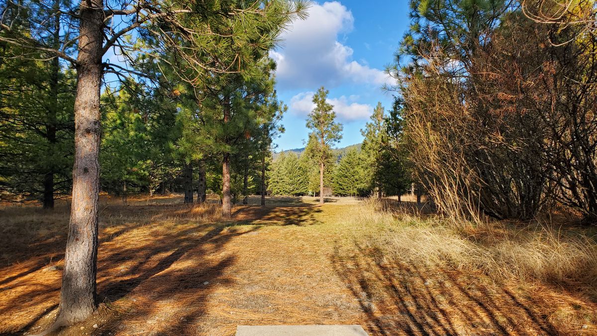 Tee pad hole 4